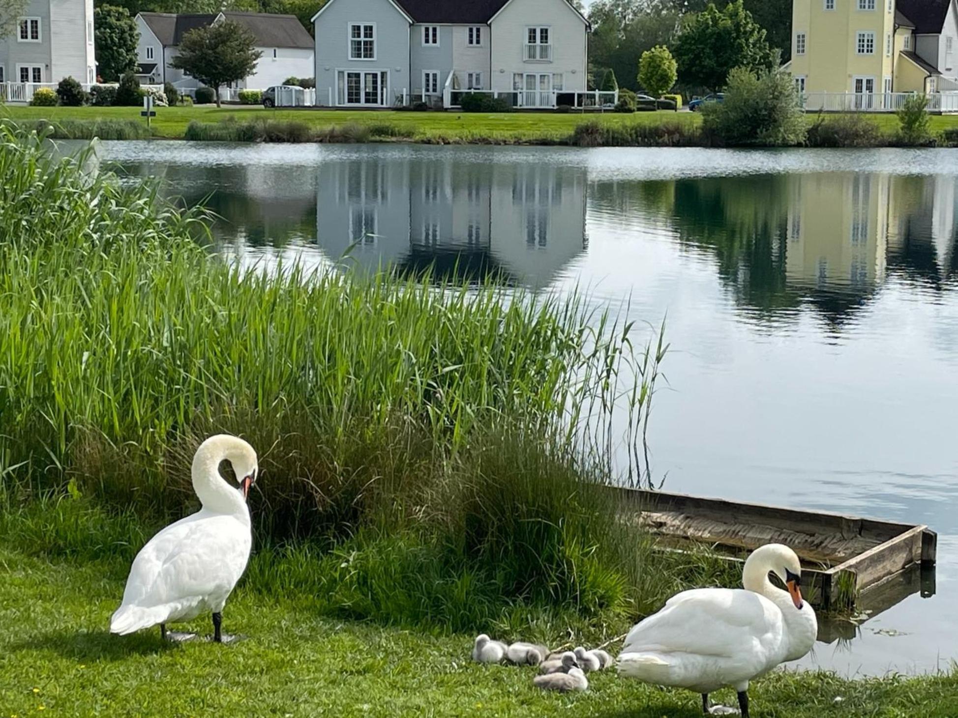 Nyhavn Lakeside Cottage Cirencester Exterior foto